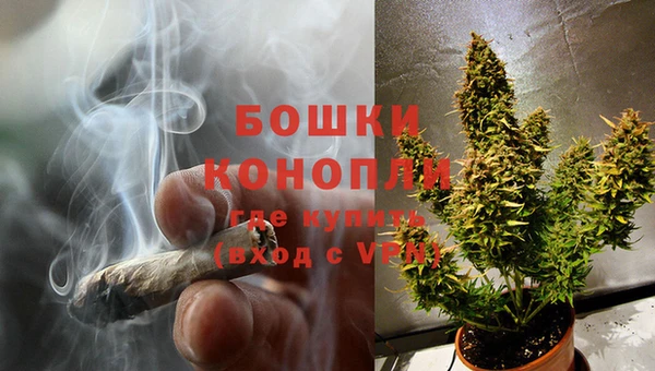 гидропоника Вяземский