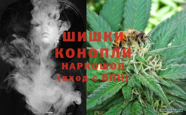 гидропоника Вяземский