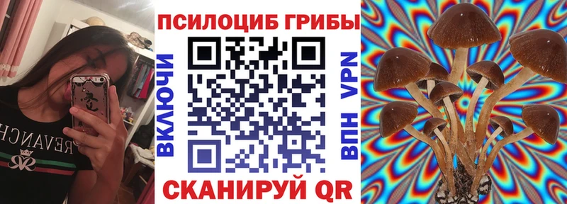 Псилоцибиновые грибы мухоморы Купить закладки Еманжелинск
